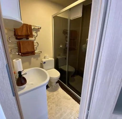 Butas Place To Close To Kaunas